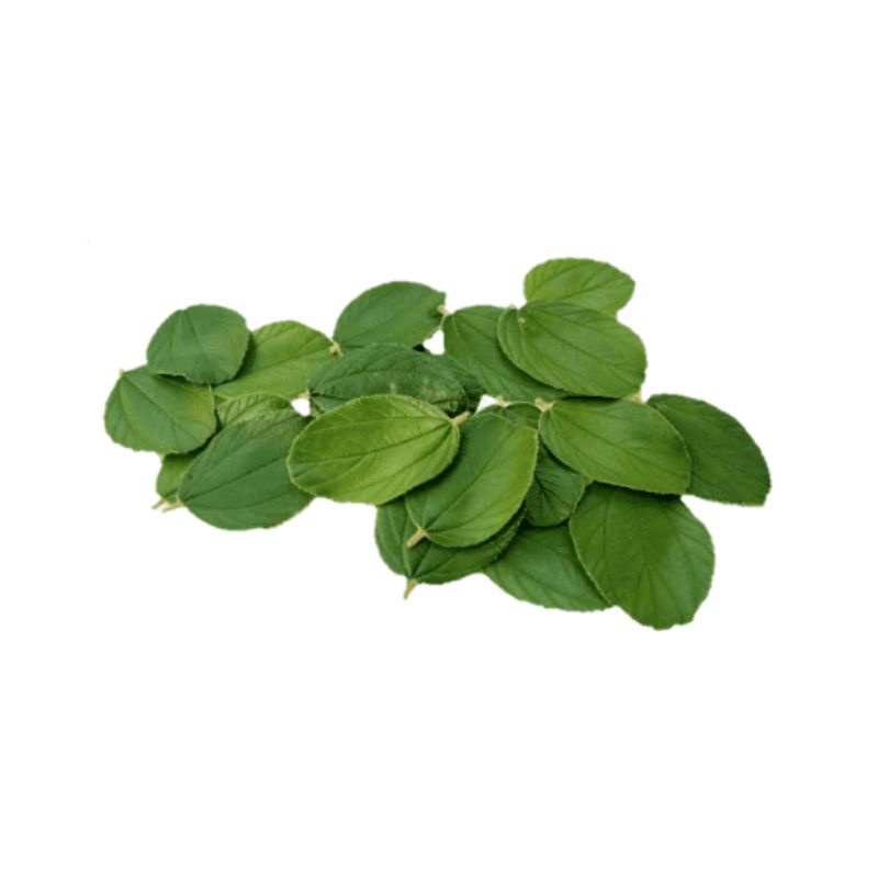 

Daun Bidara Kering Bubuk