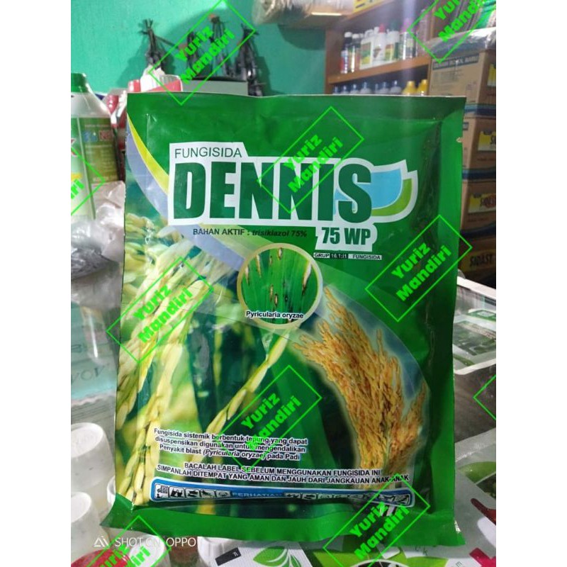 FUNGISIDA DENNIS 75wp 100gr