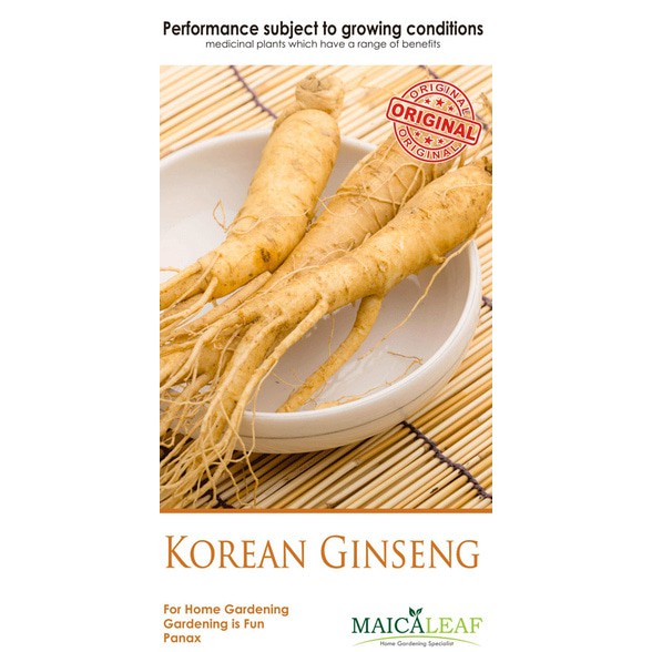 

1 Pack Maica Leaf Korean Gingseng Original 10 Seeds tumbuhan