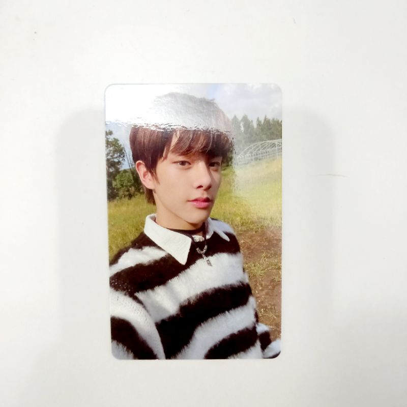 photocard dawn zebra jake