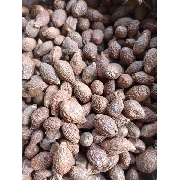 

tempayang 100 gram