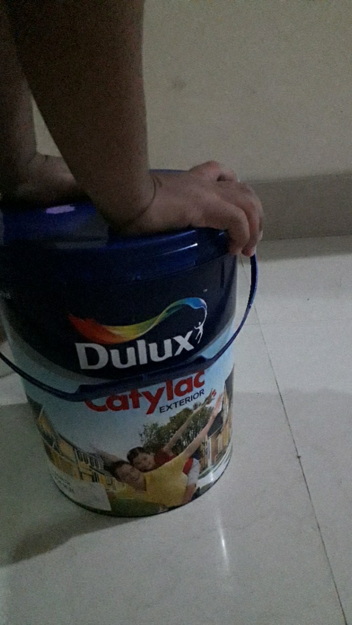 Cat Tembok Dulux Catylac Eksterior 5 Kg | Galon Warna