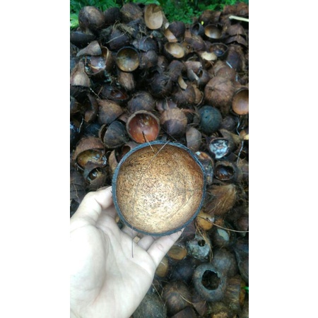 

Batok kelapa kering, pecahan,belah dua,cacah batok kelapa,tempurung kelapa,cumplung kelapa 1kg
