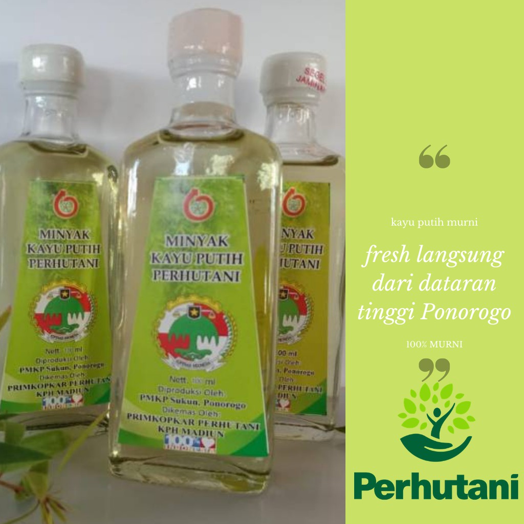 Minyak Kayu Putih Perhutani