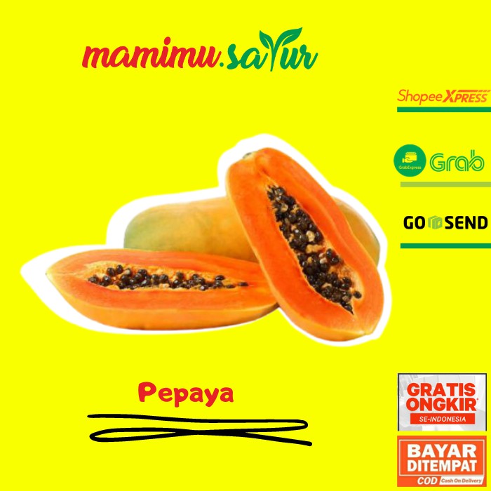 

PEPAYA MATANG 1 PCS PEPAYA MATENG PAPAYA MATANG PAPAYA MATENG SEGAR 1 PCS