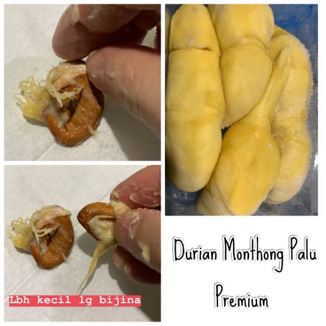 

Durian Monthong Palu Premium