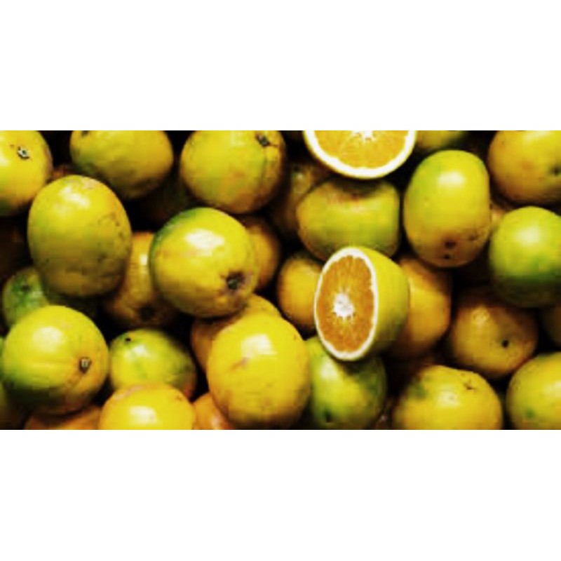 

Aneka Jeruk Lokal 1Kg