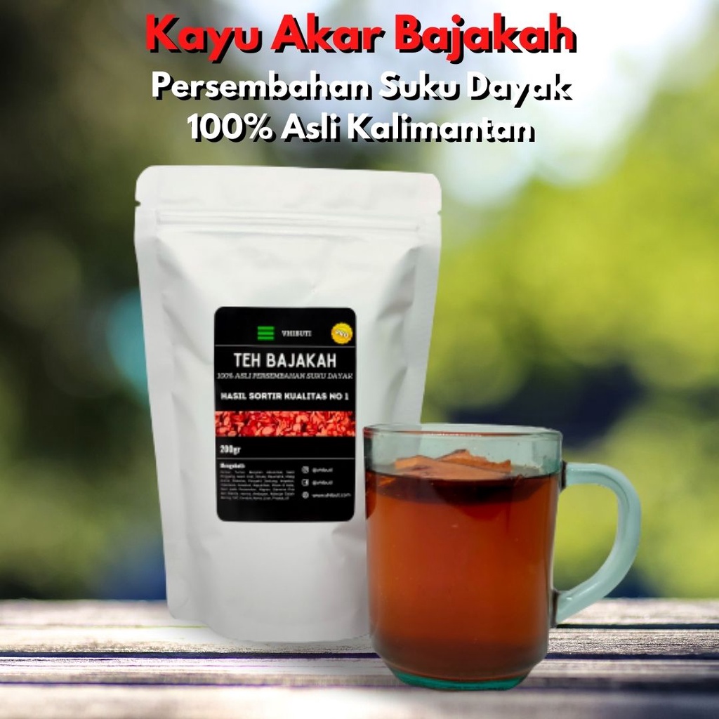 AKAR BAJAKAH ASLI KALIMANTAN 100% KAYU BAJAKAH