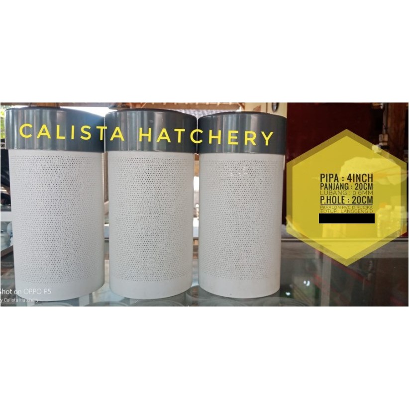 Promo Termurah Pipa Saringan Kolam Paralon 4 Inch Panjang 20Cm Lubang 0,6Mm+Tutup Berkualitas