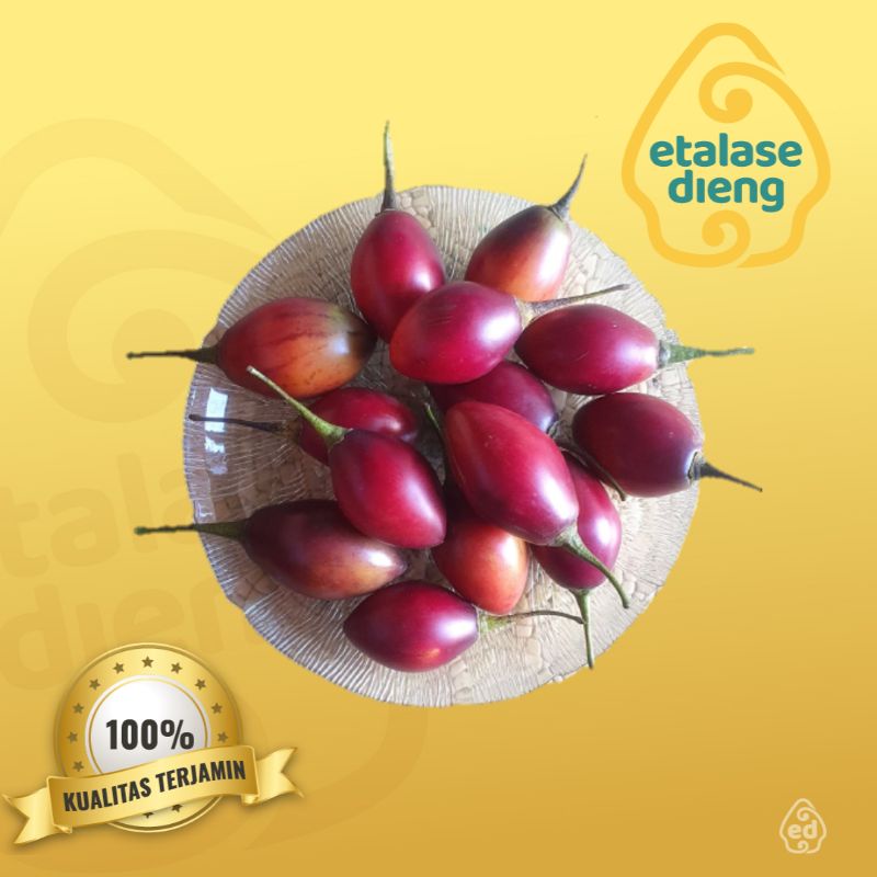 

Terong Belanda / Terong Kori / Terong Fresh / 1Kg