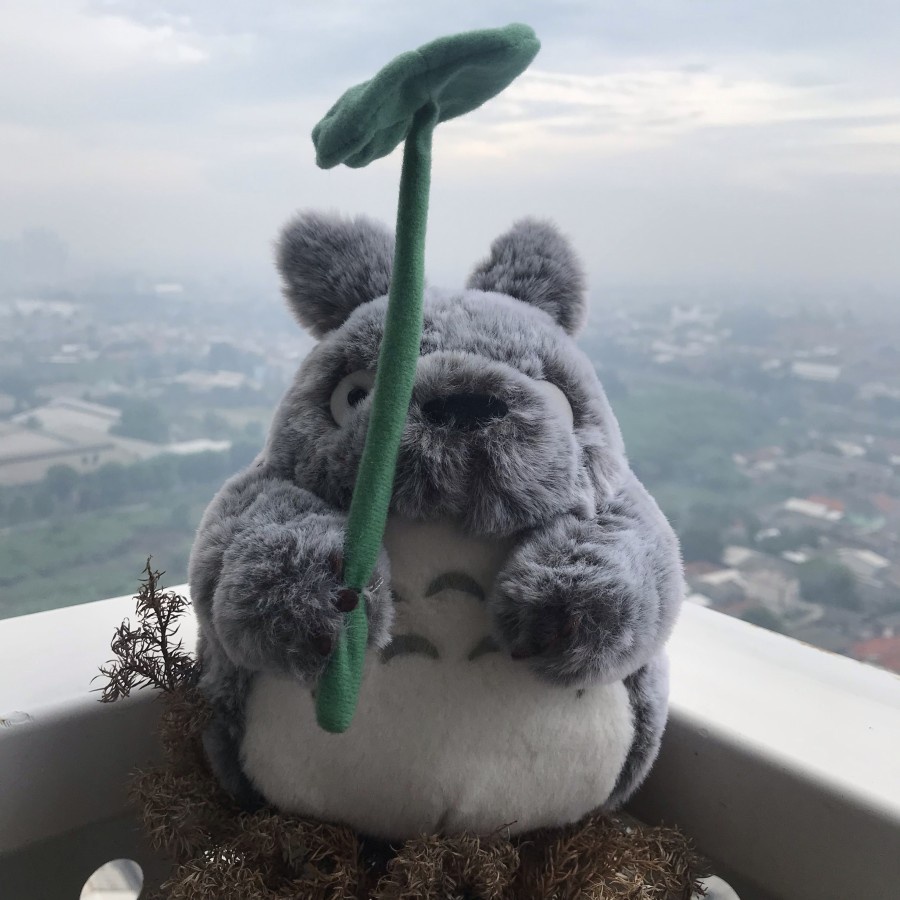 Boneka My Neighbor TOTORO with leaf by SUN ARROW
