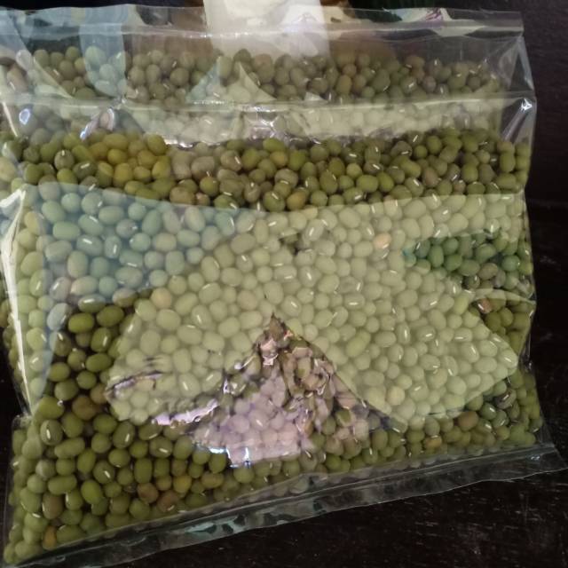 KACANG HIJAU LOKAL ORGANIK (GREEN BEANS)