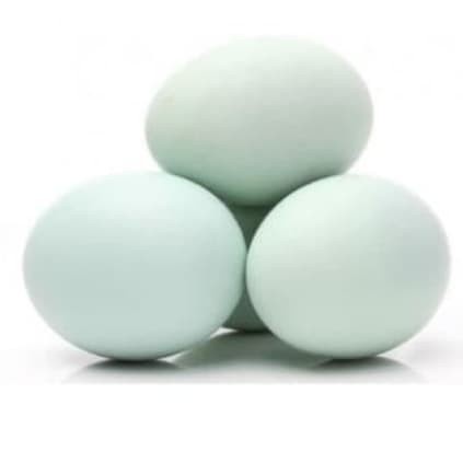 

telur bebek mentah fres 250gr..pemesanan hanya melalui kurir express