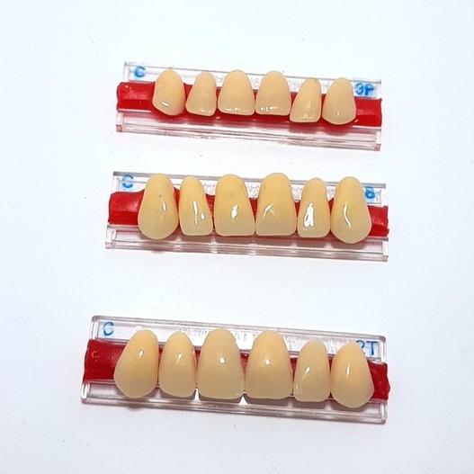 GIGI PALSU ITALDENT ATAS DEPAN WARNA C ECER SATU TRIP ( ISI 6 BUAH GIGI )