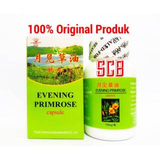 Losterol Plus 100 Kapsul Membantu Mengurangi Lemak Darah ...