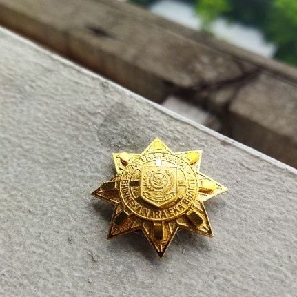 PIN IPDN PIN ALUMNI IPDN PIN ASTHA BRATA