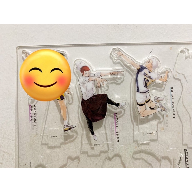 Haikyuu Chronicle Standee