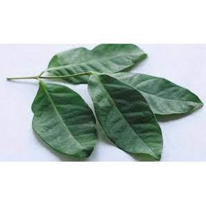 

Bandung Sayur Segar - Daun Salam