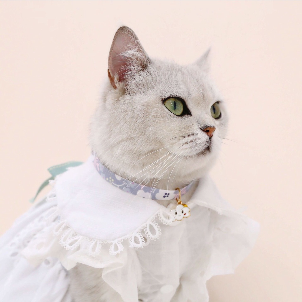 【TK】New Cute Pet Cat Collar Candy Color Rainbow Cloud Cat And Dog Cute Pendant Safety Collar Four Seasons General Pets Supplies