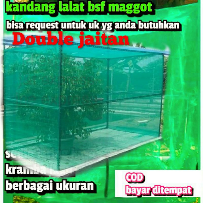 kandang bsf lalat maggot 2x2x2 siap pake