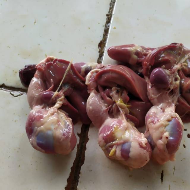 

ATI AMPELA AYAM / ATI AMPELA / 3pc