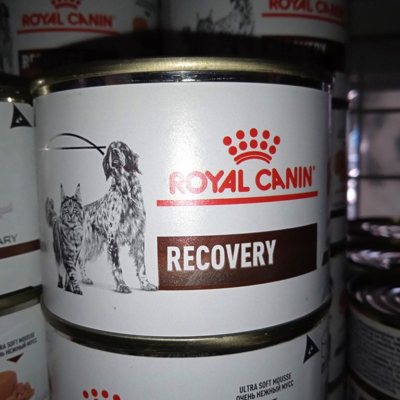 Royal Canin Recovery 195g / Dog food / Cat Food