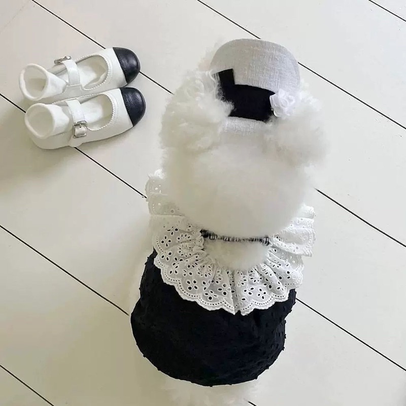 Misso Onnie korea Lacey top