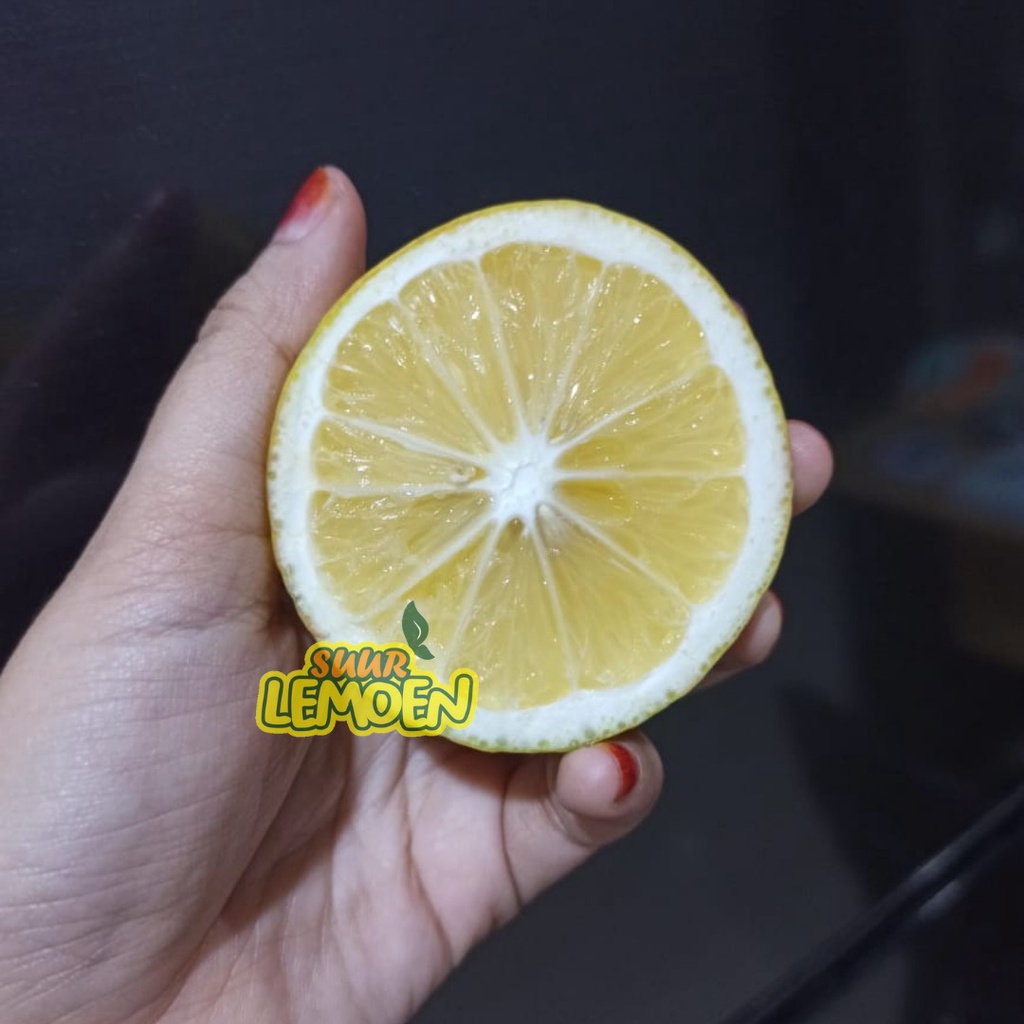 250 Gram Jeruk Lemon California Super