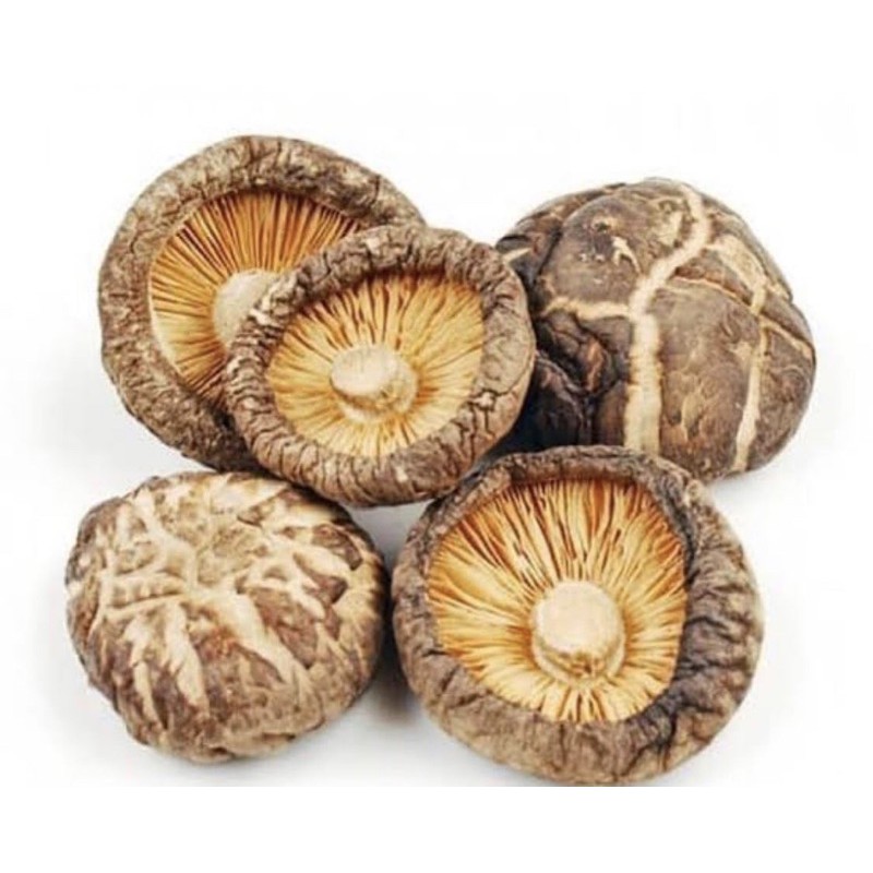 

jamur hioko jamur shitake kering grade A 4-6cm kemasan repack