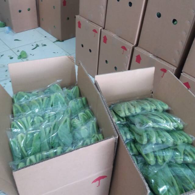 

Sayur fresh Organik/baby cabbage/Tunas Kol