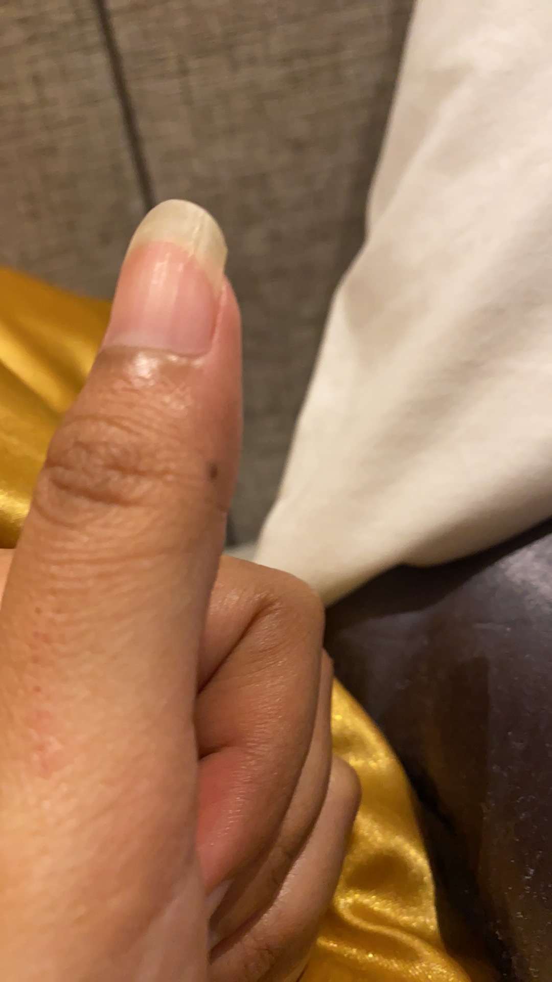 Ornamen Siku Emas Ukir Tanggung