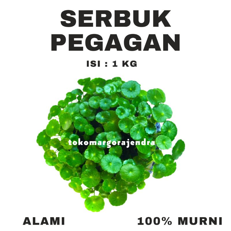 

Pegagan Bubuk 1kg Serbuk Pegagan Murni