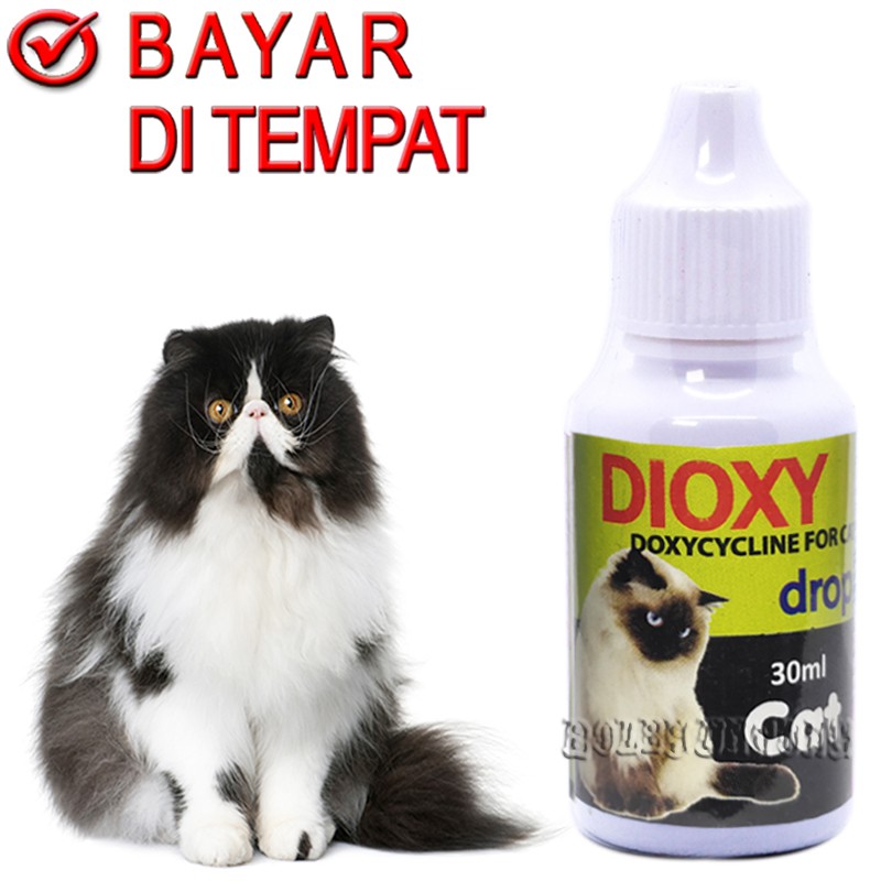 DIOXY ANTIBIOTIK KUCING OBAT DEMAM FLU PILEK DIARE MUNTAH ANTI BAKTERI