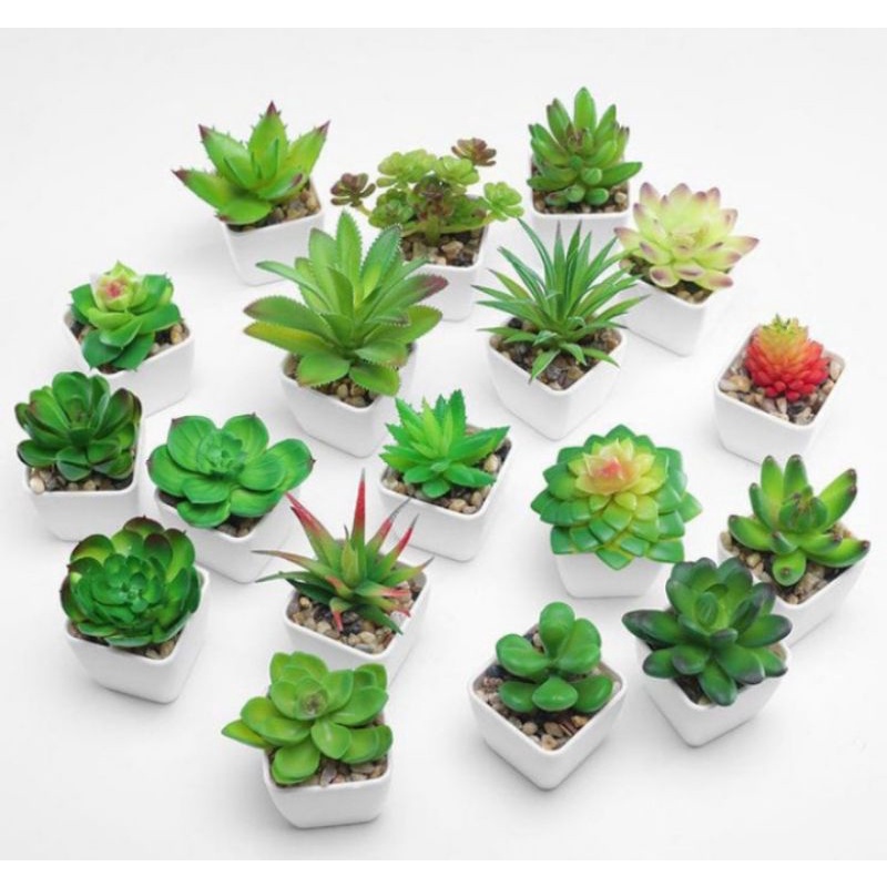 KAKTUS LATEX KAKTUS SUKULEN BUNGA PLASTIK ARTIFICIAL DEKORASI RUMAH