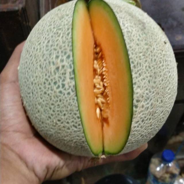 

Rock melon
