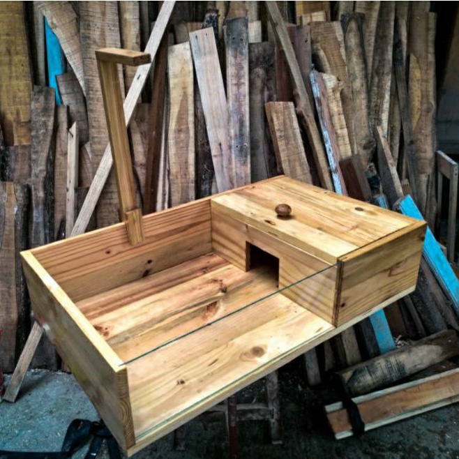 torto table / kandang kura kura darat