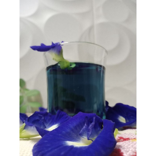 

Blue tea / teh bunga telang