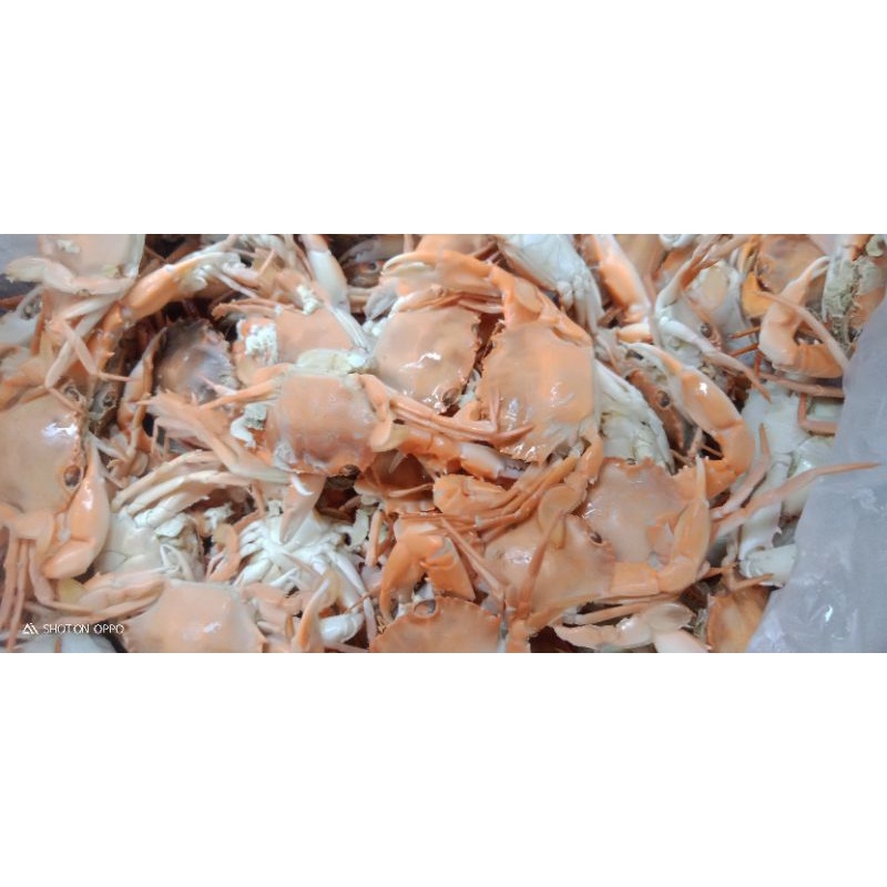 

Baby crab matang/mentah size crispy 1kg