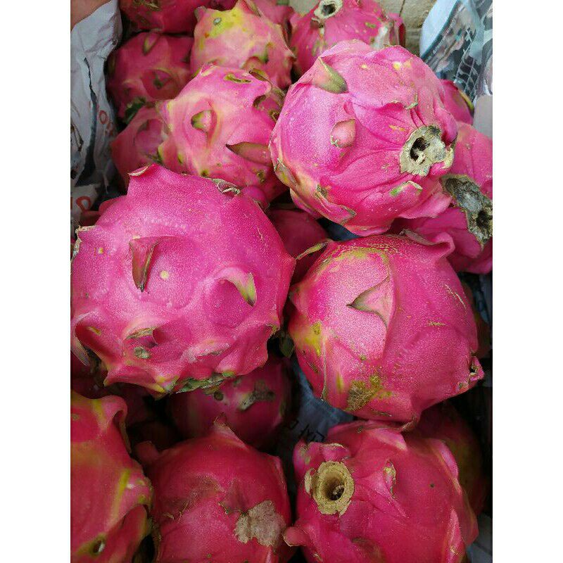 

1kg buah naga segar