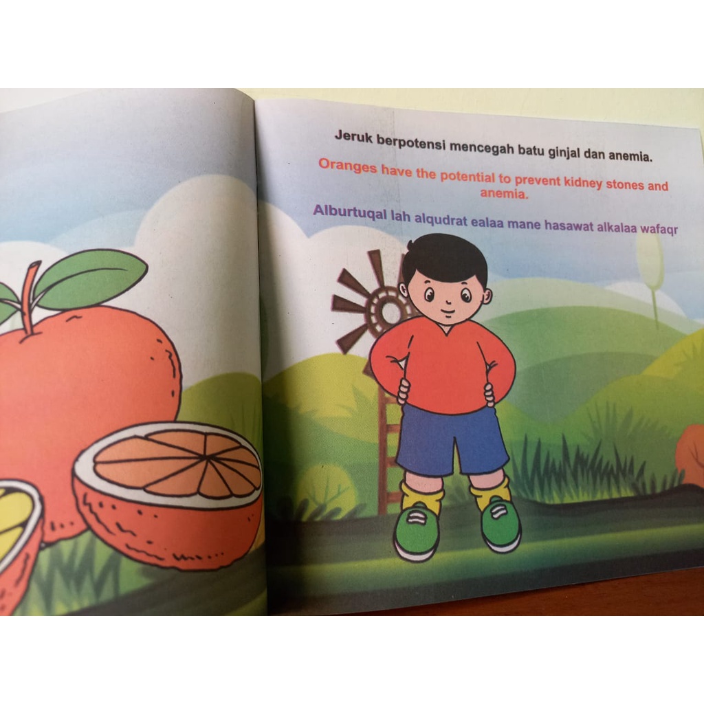 Paket 5 Buku Cerita Pendidikan Anak Buah 3 Bahasa Indonesia Inggris Arab Full Color Murah