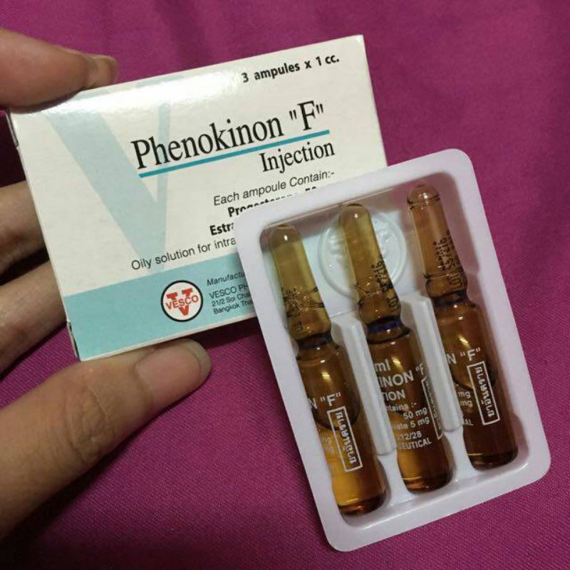 Pembesar Payudara Waria