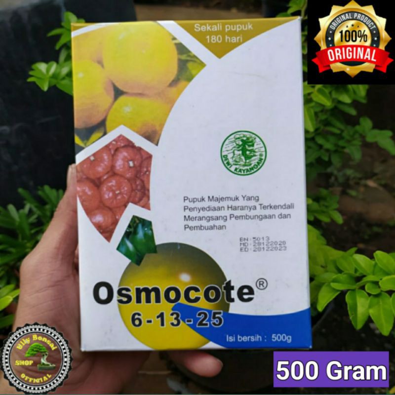 OSMOCOTE DEKASTAR 6-13-25 PUPUK BUNGA DAN BUAH 500 Gram