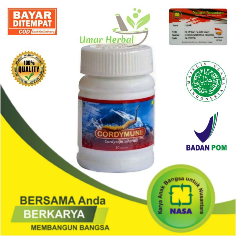 

Cordymune - obat asma - ispa - TBC - kolesterol tinggi - kadar gula