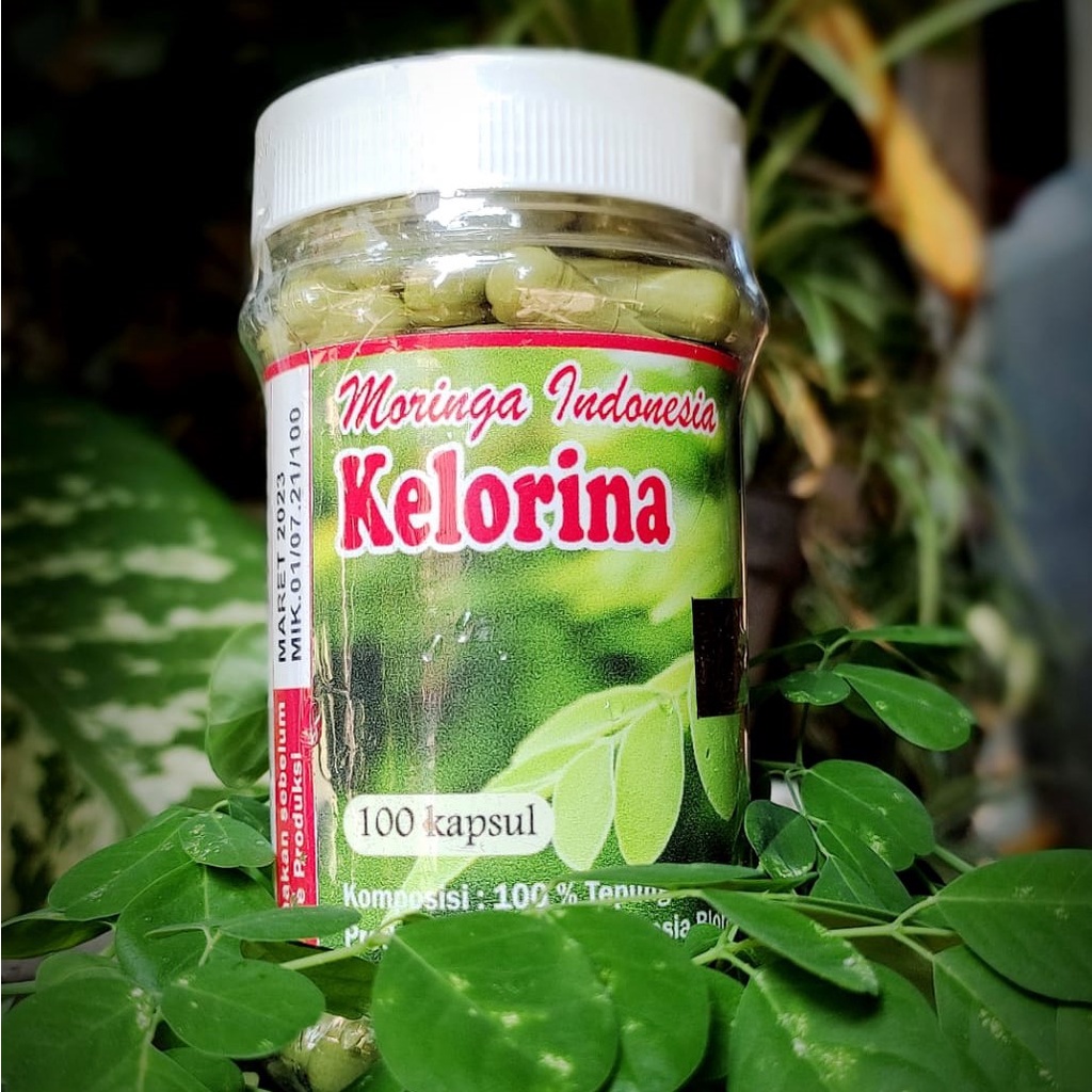 

KAPSUL KELOR / KAPSUL SERBUK DAUN KELOR MURNI TANPA CAMPURAN