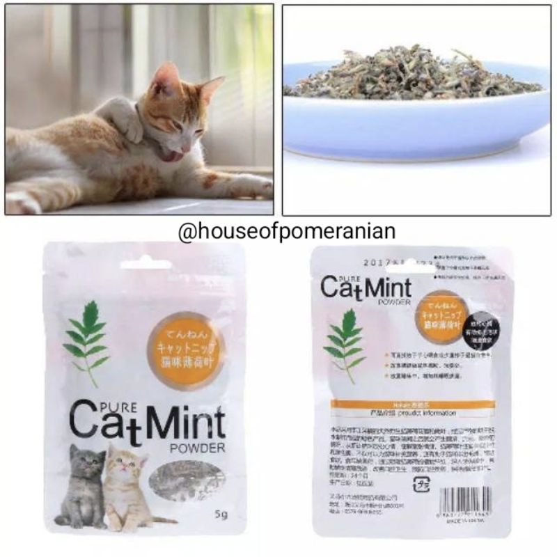 pure cat mint powder 5gr catnip kucing sachet cat nip