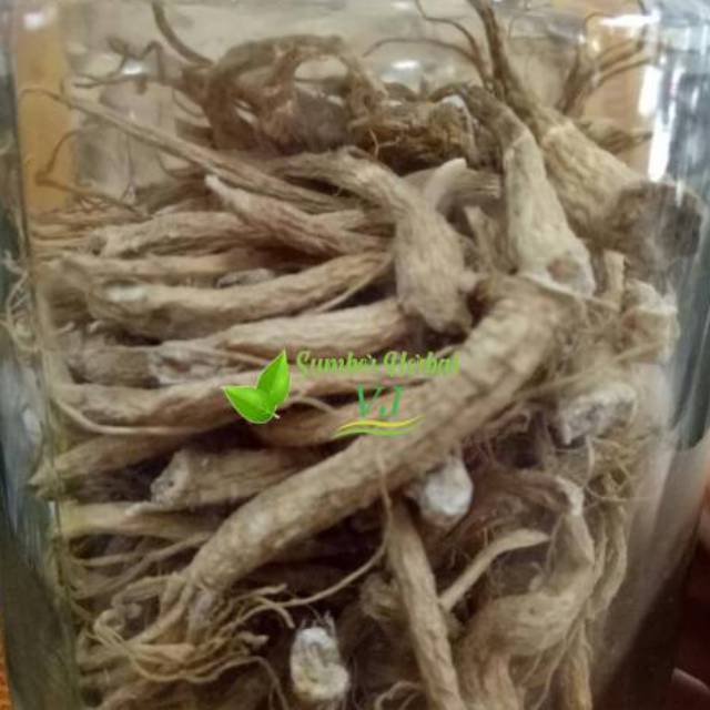 

50 GR SUPER CHINESE AKAR GINSENG/BAI SHEN XU