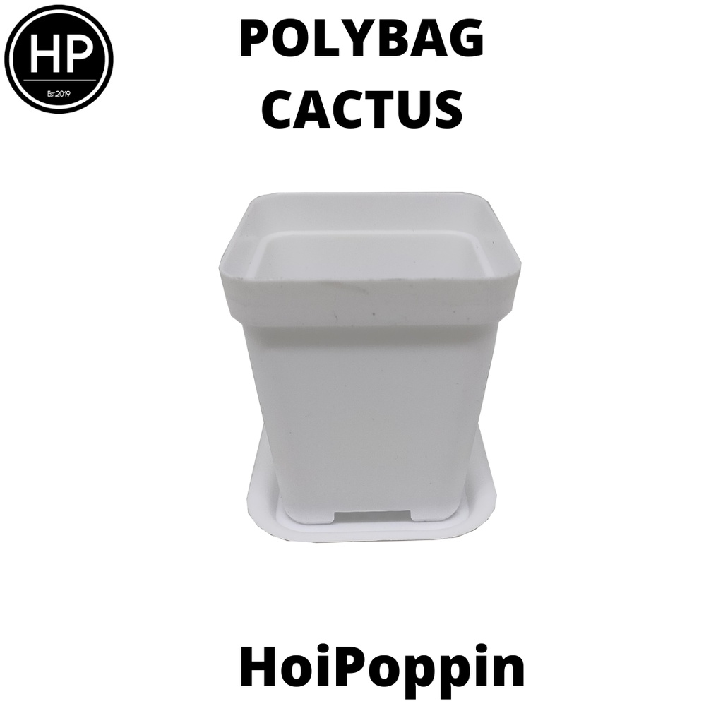 HPP - Polybag (Putih)- cactus polybag - pot cactus - pot elastis - pot dan tatakan - pot - pot hias