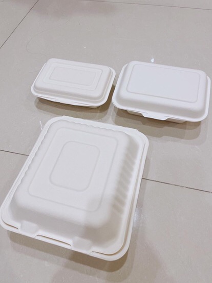 Bagasse Kotak 450ml Lunchbox Takeaway Sugarcane Serat Tebu Eco Friendly