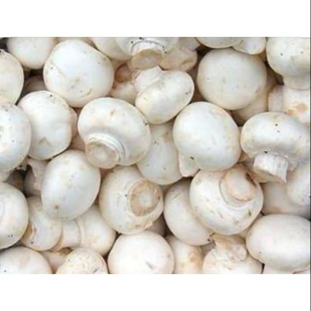 

jamur champignon 1000gram/ 1kg