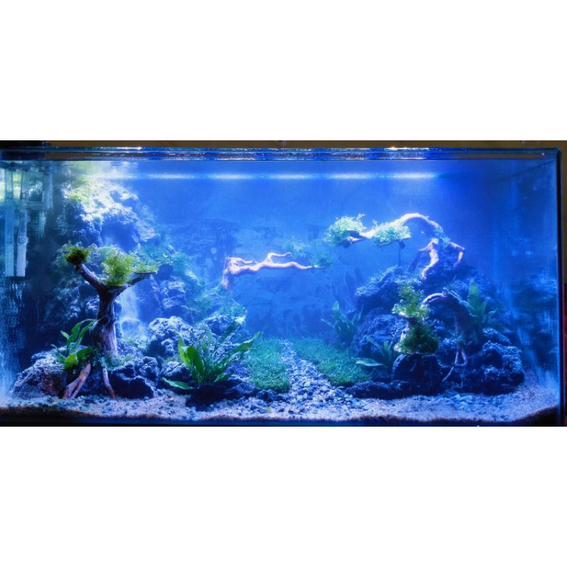 Aquascape design waterfall